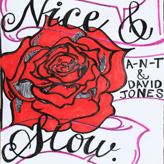 A-N-T ft. David Jones - Nice & Slow