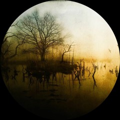 Knobs - Dream At Night (Coeter Remix) / Nachtstrom100