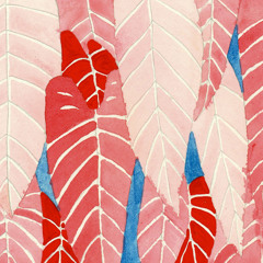 2/14/15 (palms full of honey)