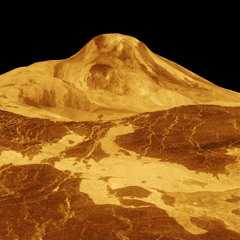Racing around Venus