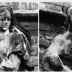 green tea - (Acid Rain)