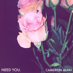 Premiere: Cameron Alan - Need You