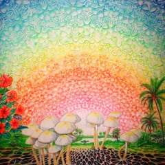 "Light Speed Ahead" - Decypher