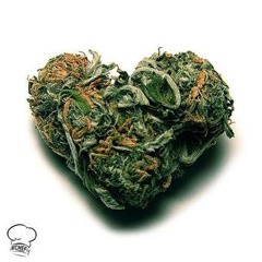 "Casual Night (Blunts N' Love)" ft. Gio Dee (Prod. by Dee C)