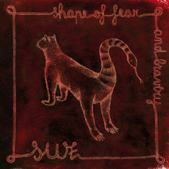 Shape of Fear and Bravery (2009, No.Mad Records)