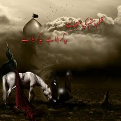 02 Bauhat Ro Chuki Hai Sakina Ali Waris 2010