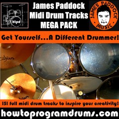 Birds 80bpm (FREE midi drum pattern)