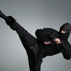 Ninja (Free!)