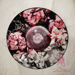 atOlla - Arctic Gazing