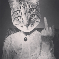 from katze with love