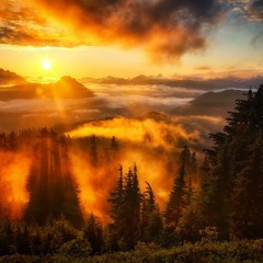 Lustful Prohibitions