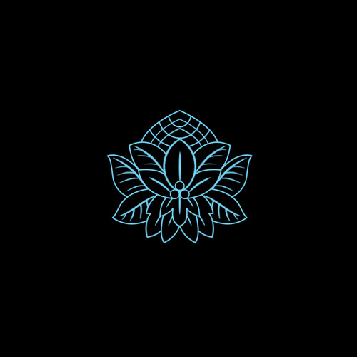 Sosiego/Kin Live @ Palisades