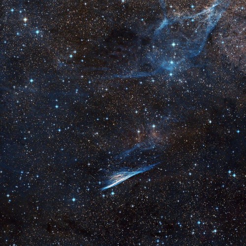 Kill you With the Bass-[Prod. by So Sikh]