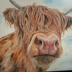 Daddy Always Liked Bull Fighting