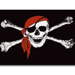 Piraten Stechen In See