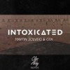 Martin Solveig & GTA - Intoxicated (Clips X Ahoy Remix)(soundscloud.ru) — cover