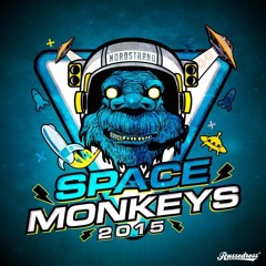Space Monkeys 2015 - WHITEBOY Q & MC BOB (Otto Edit)