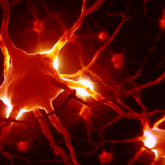Fr33m4n - Nervous Relief