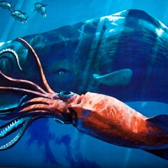 2nd Battle - Assassin Beats vs HC93 (Assassin Beats Won)