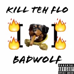 Kill Teh Flo - BadWolf