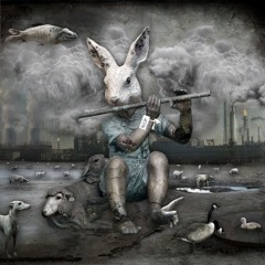 P-Hase  - Peterchens Mondfahrt