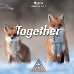 Multirex - Together