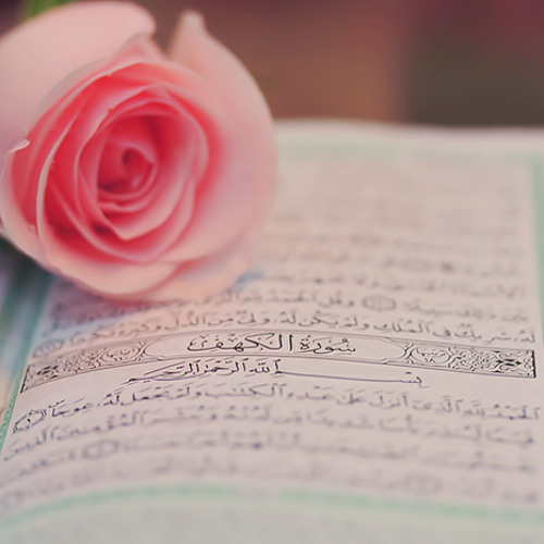 افضل بنت صغيره تقرا قران في العالم بالنسبة لي