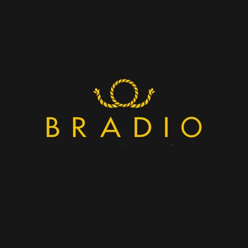 Stream BRADIO - Flyers by Forgdedelilt | Listen online for free on  SoundCloud