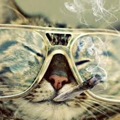 Drank & Dank Ft Dj Crooked Letter