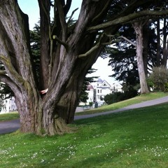 (rough and outside) Flowers in Your Hair