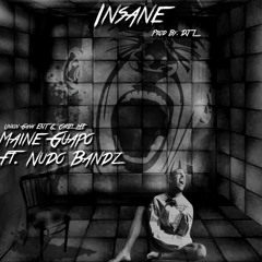 Insane ft. Nudo Bandz prod by. DJ L
