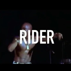 Billonaire Black - Rider