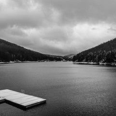 Deep House, Indie Dance, Tech House, House, No Disco