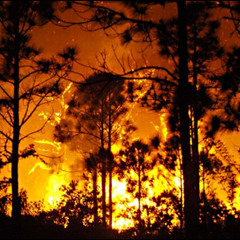 Hell On EARTH - G.O.M.G squad