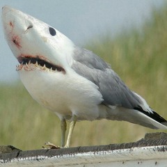 Yet Another Space Song at Hate Friend Kitchen