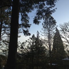 Thinking About Something Else