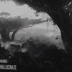 Hounds - Hallucinate