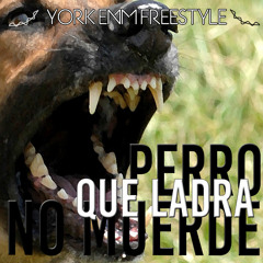 Perros Que Ladran No Muerden - Yordan Castro €NM | Freestyle