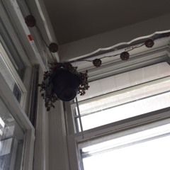 ghost story - radiator hospital cover