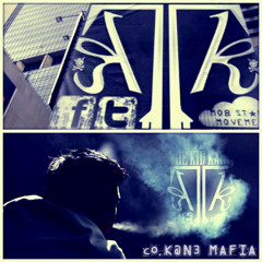 The Kid Kane - We Need Peace