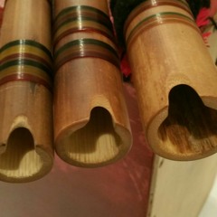 Demo Avril ( Auteur:Willy Rios) à Montreal 2015