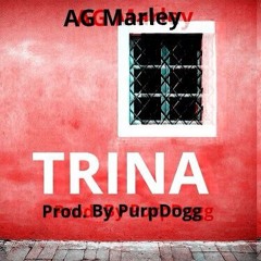 TRINA (Prod. by Purpdogg)