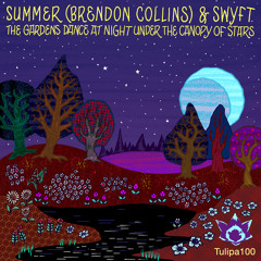 Summer (Brendon Collins) & Swyft - The Gardens Dance At Night (Original Mix)
