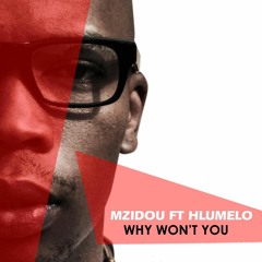 Mzidou feat. Hlumelo - Why Won't You (Sample)