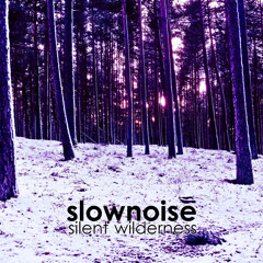 Slownoise - Capitol Dub