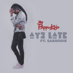 Ay3 Late - PAPPYKOJO Ft. Sarkodie (Produced by Kuvie)