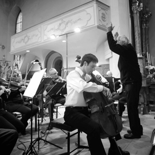 Orchesterverein Rorschach, Konzert vom 17. November 2012