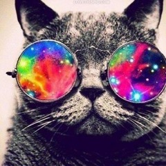 13 Tracks at Friday 13th mixed by Lars Lee