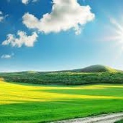 sunshine shits on my face everyday at 5am i need curtains