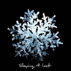 Sleeping At Last - Indian
